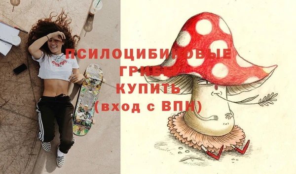 ALPHA PVP Осинники
