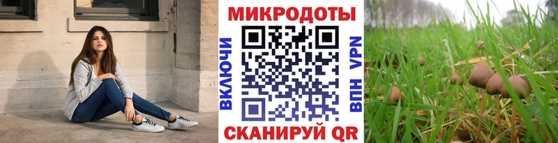 Псилоцибиновые грибы Psilocybe  как найти   Ялуторовск 