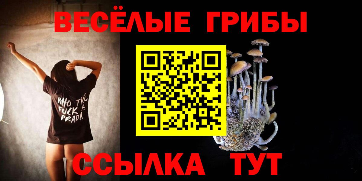 Ялуторовск  Галлюциногенные грибы Psilocybe  Вход с VPN 