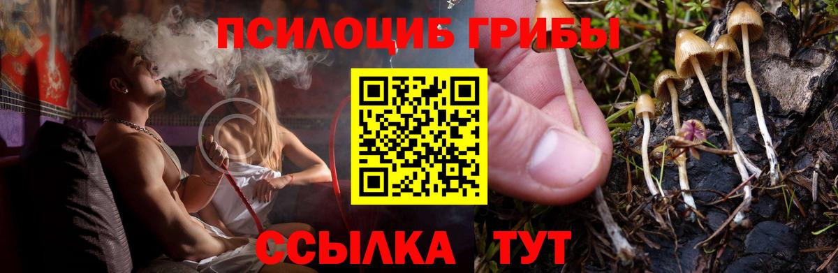 Псилоцибиновые грибы MAGIC MUSHROOMS Ялуторовск