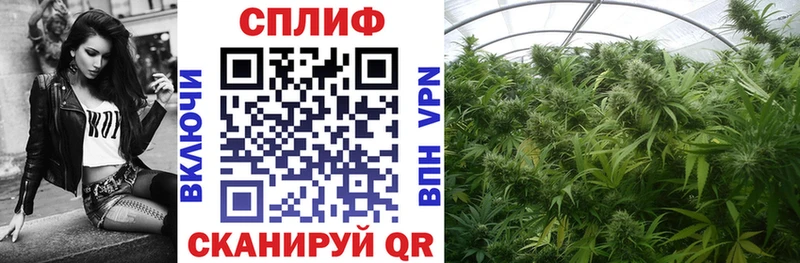 OMG вход Ялуторовск Конопля сатива купить закладку